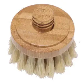 Replacement Brush