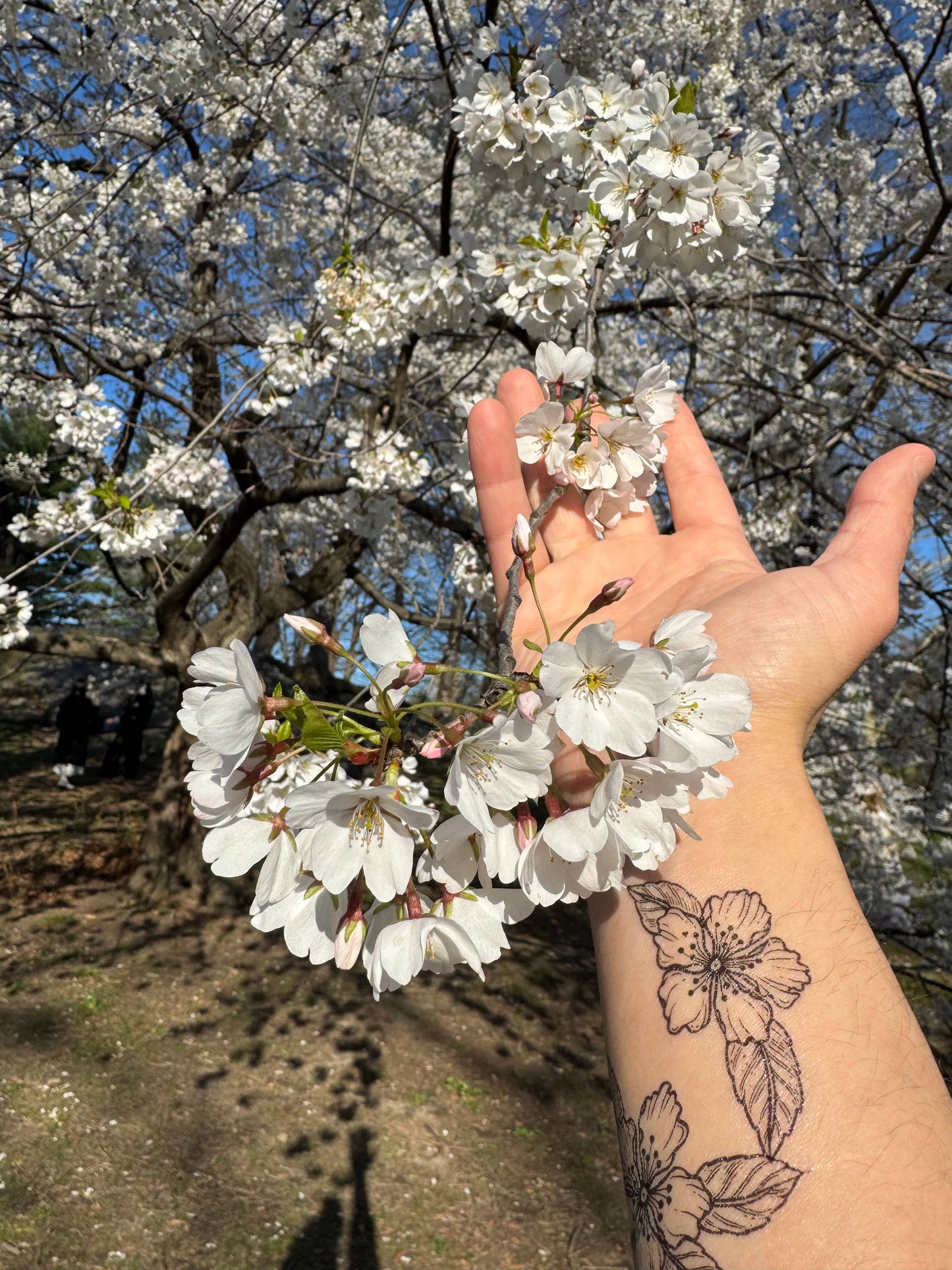 Cherry Flower Temporary Tattoo
