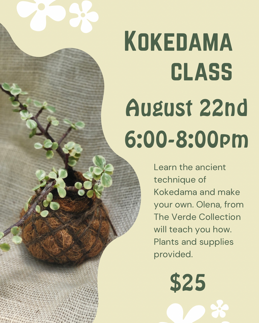 Kokedama Class