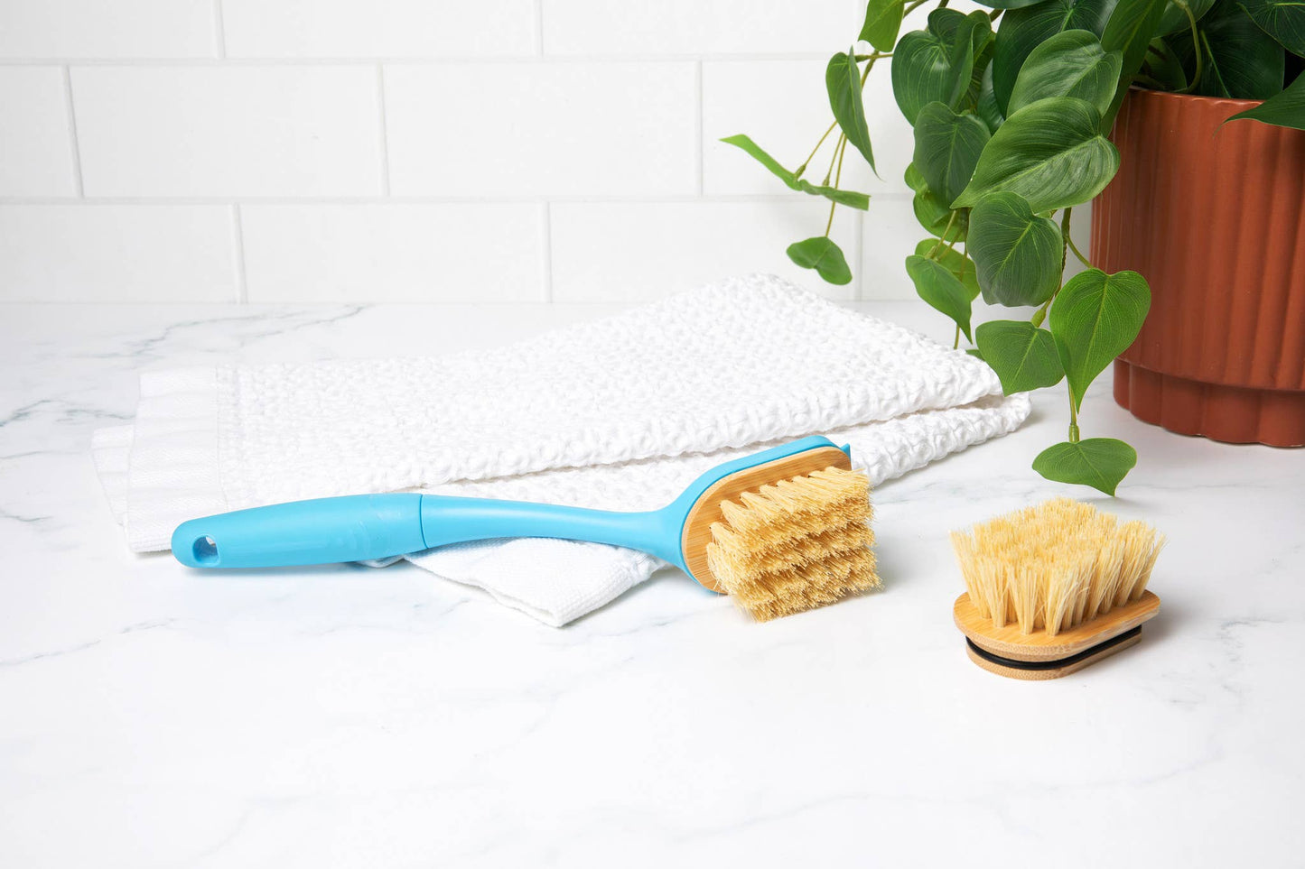 Do The Dishes Brush - Refill Compostable Heads 2-pack