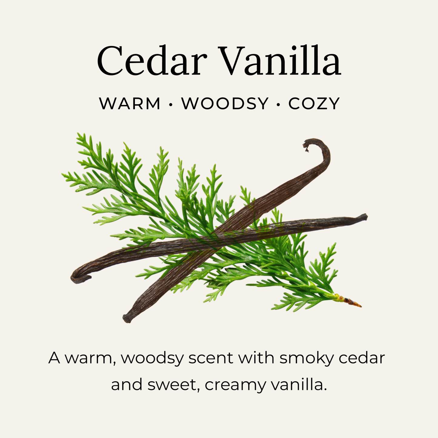 Cedar Vanilla Deodorant Cream
