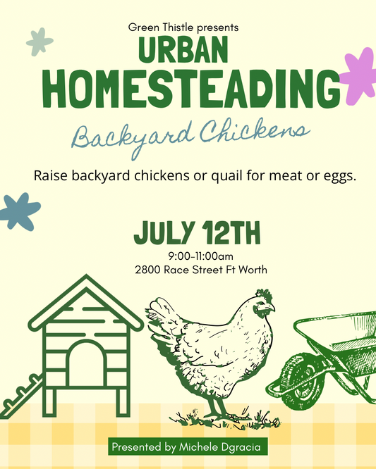 Raising Chickens