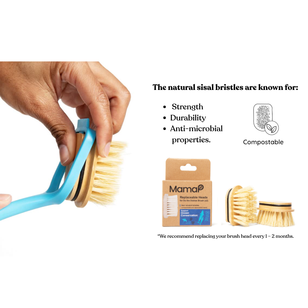 Do The Dishes Brush - Refill Compostable Heads 2-pack